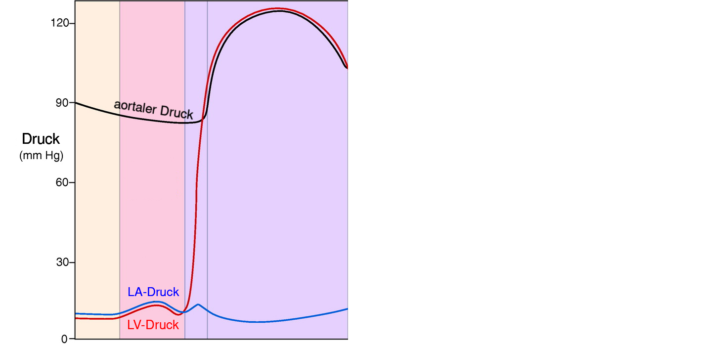 hier fehlt Wiggers Diagramm-Drücke